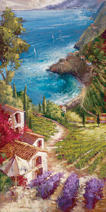 Steven Quartly - Amalfi Vineyard