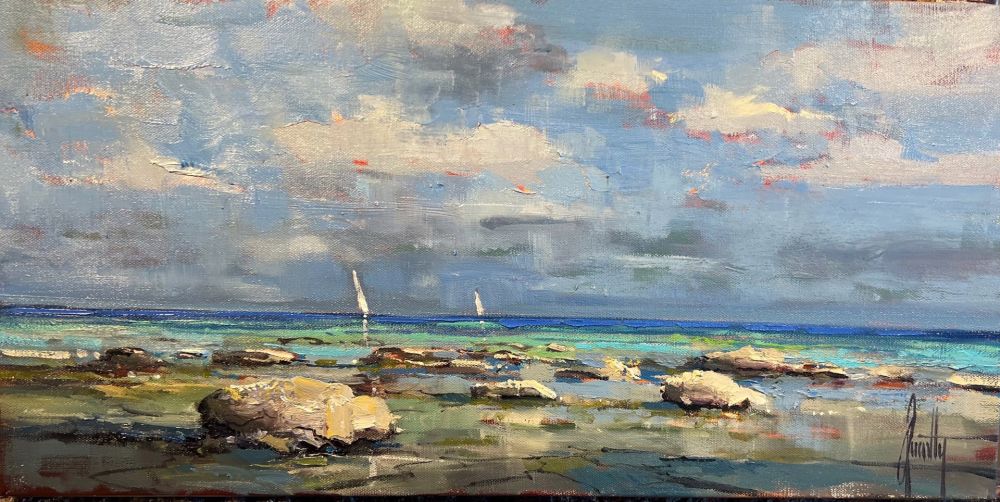 Steven Quartly - Low Tide Shoals