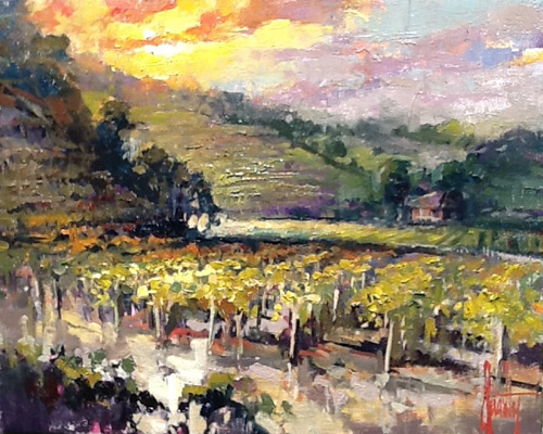 Steven Quartly - Napa Sunset