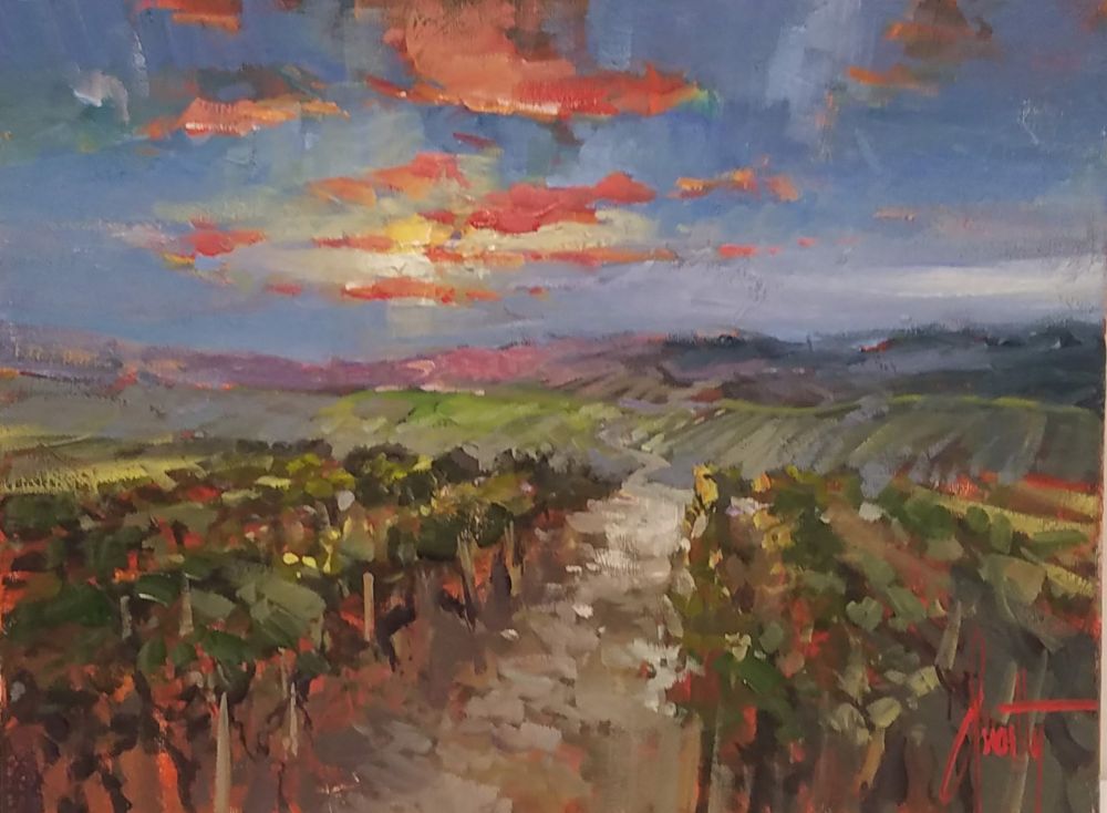 Steven Quartly - Vineyard at Sunset